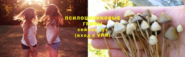 прущие крисы Баксан