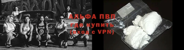 ГАЛЛЮЦИНОГЕННЫЕ ГРИБЫ Белоозёрский