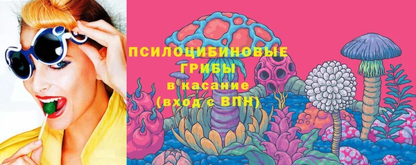 ГАЛЛЮЦИНОГЕННЫЕ ГРИБЫ Белоозёрский