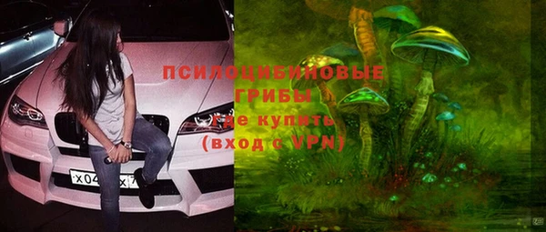 молекула духа Балахна