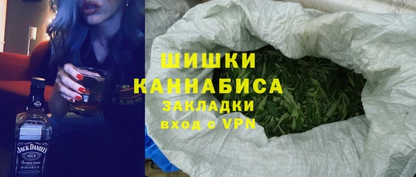 молекула духа Балахна